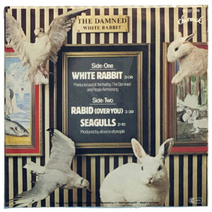 Germany 1980 White Rabbit Back